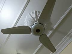 sk fan 56 inch celling fan