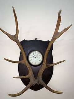 Deer Stag Horns (Antlers) | Antique | Clock | Britain Made |