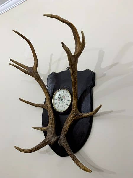 Deer Stag Horns (Antlers) | Antique | Clock | Britain Made | 1