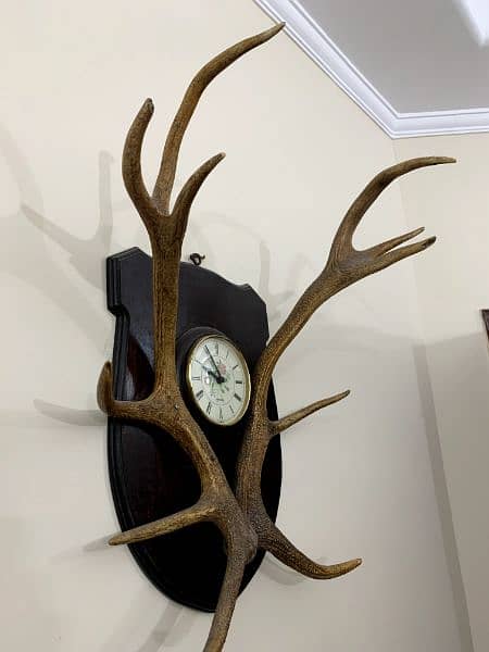 Deer Stag Horns (Antlers) | Antique | Clock | Britain Made | 2
