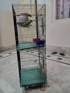 cages and Fisher for sale