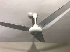 Ceiling Sk Fan for sale 100% working condition used but like new
