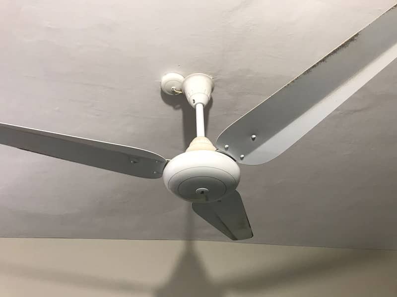 Ceiling Sk Fan for sale 100% working condition used but like new 0