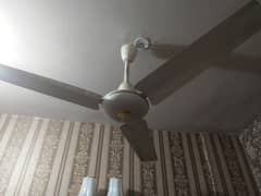 Sufi ceiling fan