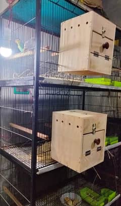 Love Bird Cage For Sale