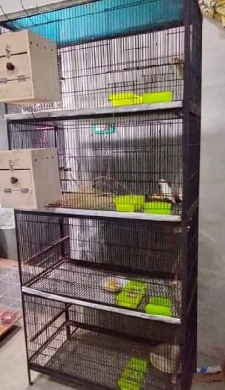 Love Bird Cage For Sale 1
