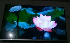 led android Wi-Fi ips panel 03245450769whatsup