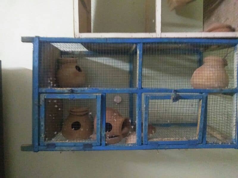 2 cage ha 4 matki 2 box 1
