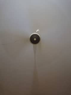Cealing fan for sale 5000 each and and 2 in 8500 0