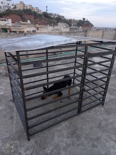 dog cage availabe 0