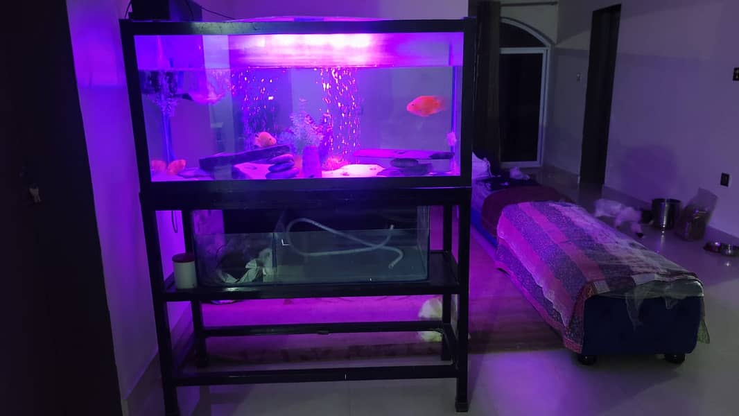 4 FT Aquarium + Stand + Sump Filter | Cheap | Throwaway price 1