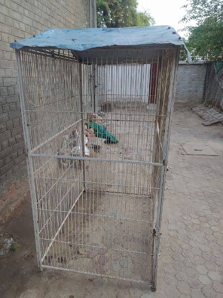 parrots cage for sale 1