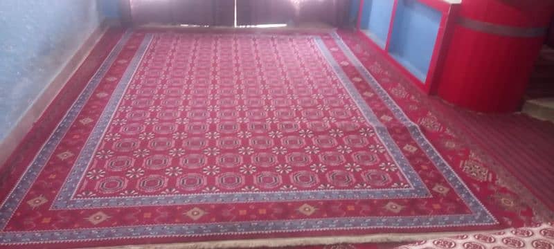 carpets 5