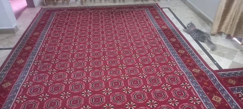 carpets 8