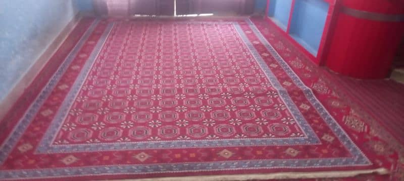 carpets 11