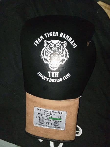 best boxing gloves of Pakistan 2