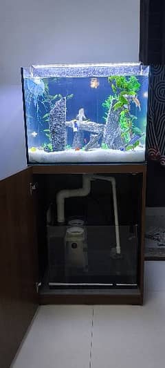 Fish Aquarium