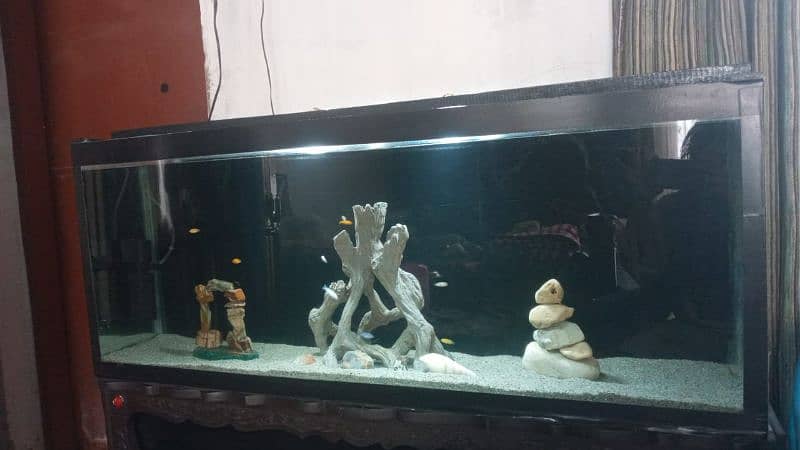Aquarium for sale 4 feet glass 8mm wooden trolly 1