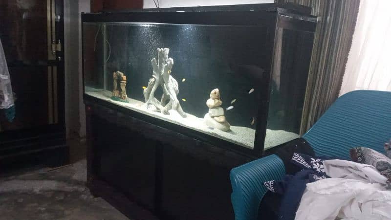 Aquarium for sale 4 feet glass 8mm wooden trolly 4