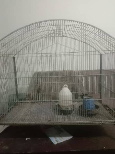 Birds cage for sale big enough for 5 pair of parrots 0