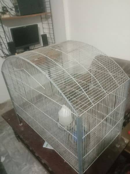 Birds cage for sale big enough for 5 pair of parrots 1