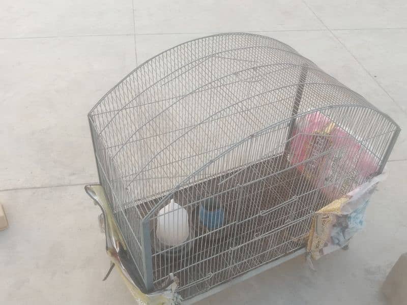 Birds cage for sale big enough for 5 pair of parrots 2