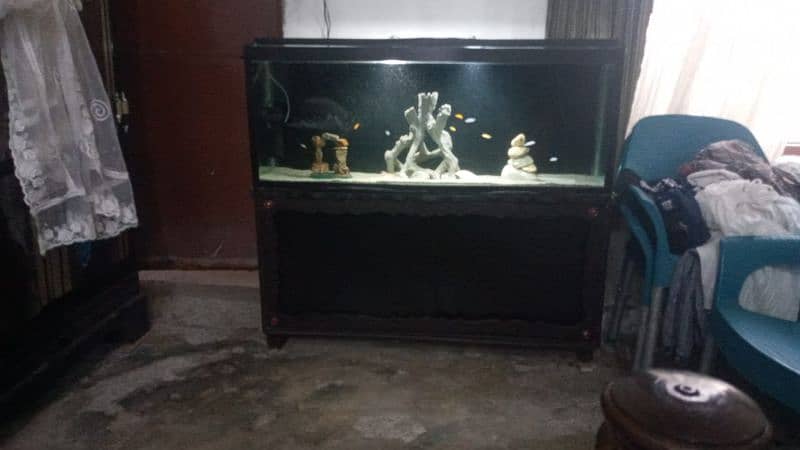 Aquarium for sale 4 feet glass 8mm wooden trolly 6
