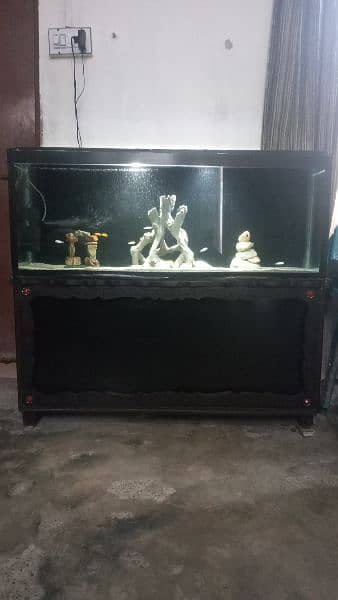 Aquarium for sale 4 feet glass 8mm wooden trolly 7