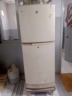 PEL Refrigerator medium