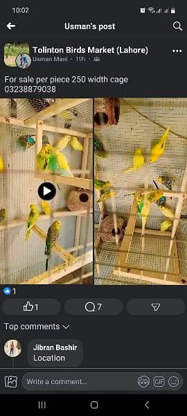 parrot width cage 2