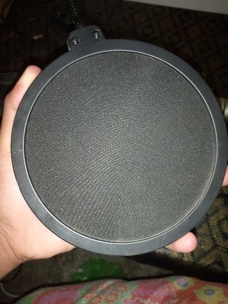 Condenser Mic With Pop Filter Stand 2