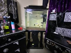 Aquarium with Table & All Accessories