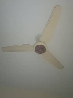 calasic pure copper fan