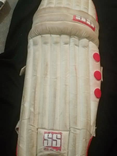 bag to pads Thai cust cust bad bad bat gloves 8