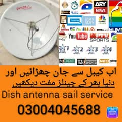 Settlite dish antenna sail and service