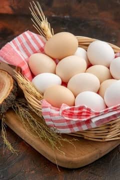 Pure Bengum Aseel Fertile 13 eggs for Sale High-Quality High Price