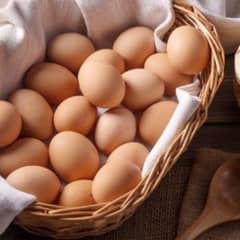 High-Quality High Price Bengum Aseel Fertile. 8 eggs for Sale (COD)