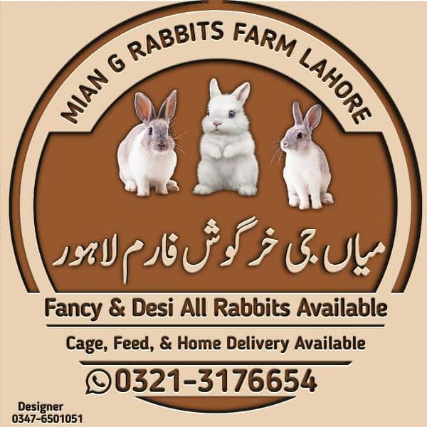 Fancy , desi ,german & newzeland rabbits available 11