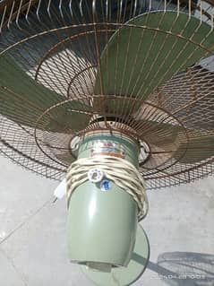 Pedestal Fan for Sale