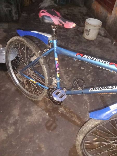 Bicycle for sell 4