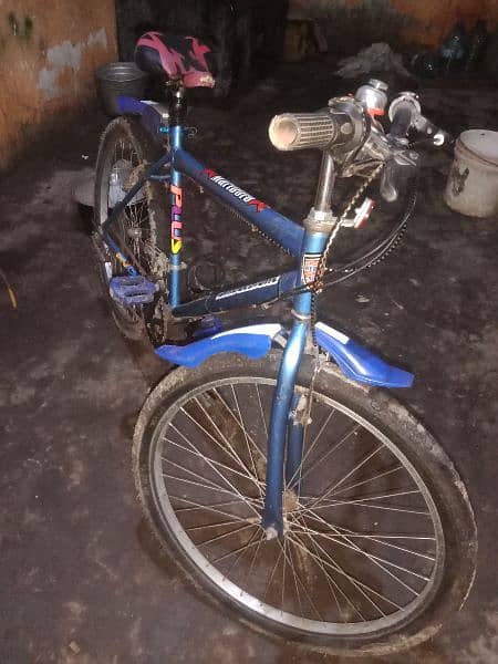Bicycle for sell 5