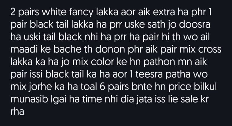 6 pairs urgent salewhite lakka pairs black tail pairs 2