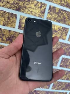 iphone 8 64 pta approved