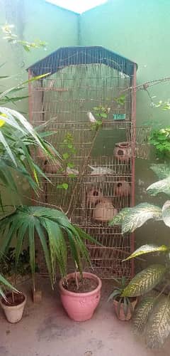 7 portion cage available