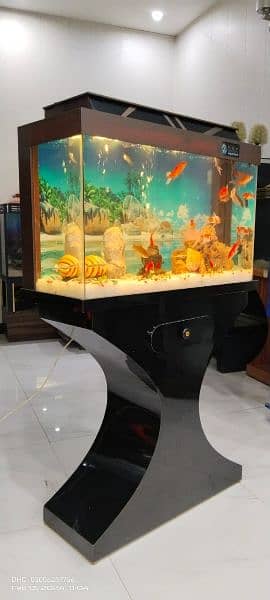 Wooden Aquarium with glass top 4