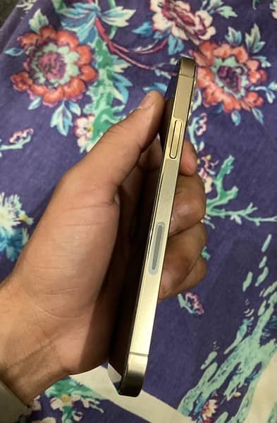 iPhone 12 pro ( JV )256 with  charger brand new condition 2