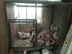 Heavy weight birds cage