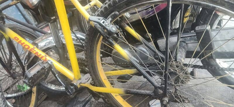 phonex.   willing bcycle yellow and black colour 0