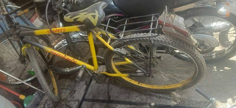 phonex.   willing bcycle yellow and black colour 2