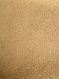 Carpet for sale (for hall room)21 x 13 ft